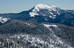 30-LA SOLITARIA MOLE DEL MONTE GUGLIELMO